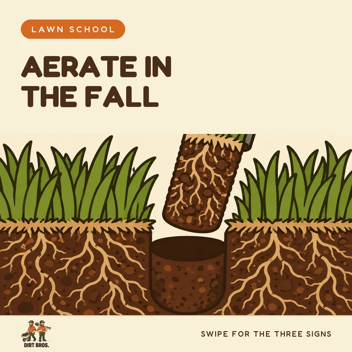 An illustrated post reading Aerate In The Fall